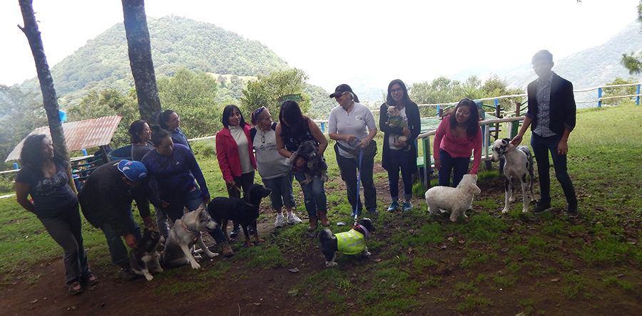 Senderismo con tu mascota